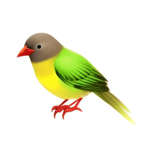 鸟免抠(2048x2048)