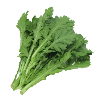 茼蒿超市商品白底图免抠实物摄影png格式图片透明底