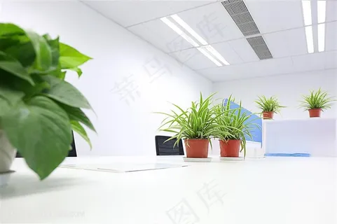 明亮的办公环境 明亮的办公环境