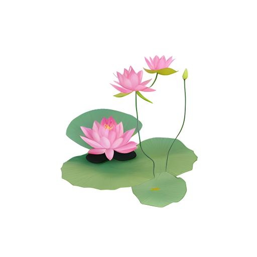 荷花莲花免抠