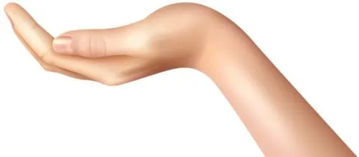 手 PNG免抠(600x264)