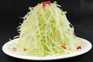 LCSC0305椿芽笋丝 14