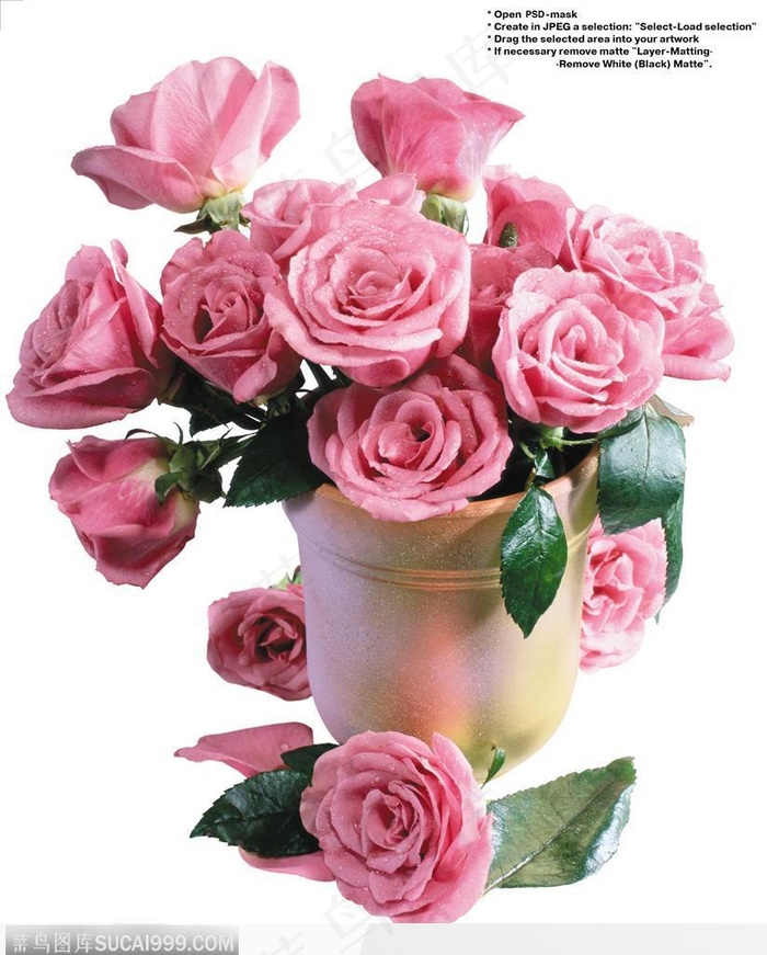 玫瑰花束-漂亮的紫色玫瑰