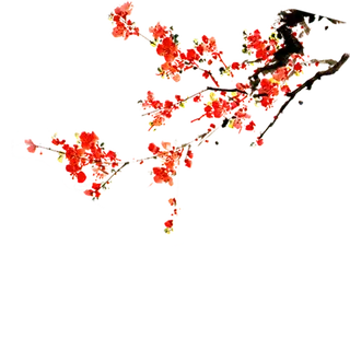 中国古风元素枝头梅花