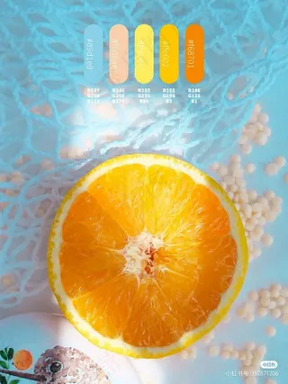 高质量插画配色色卡