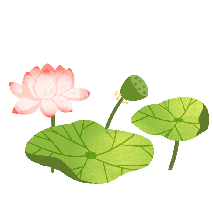 国潮中国风手绘荷花莲花荷叶莲藕植物花卉装饰插画PSD设计素材psd模版下载
