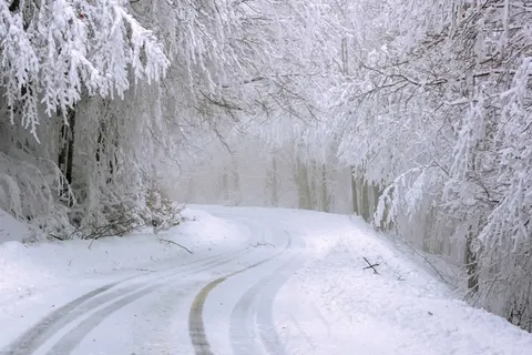 白色冰雪世界图片 白色冰雪世界图片