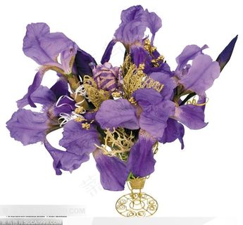 花艺花束-一束漂亮的蝴蝶花