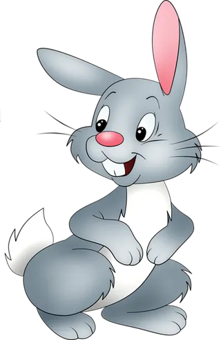 小灰色兔子兔年