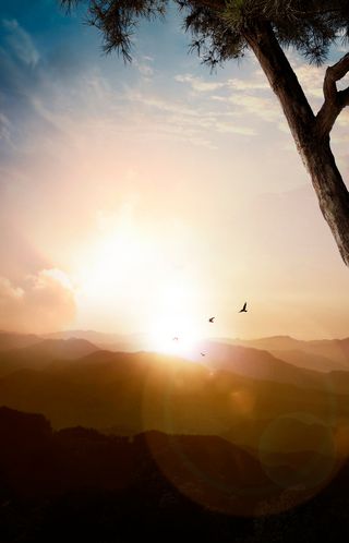 风景海报PSD素材