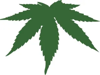 大麻PNG免抠