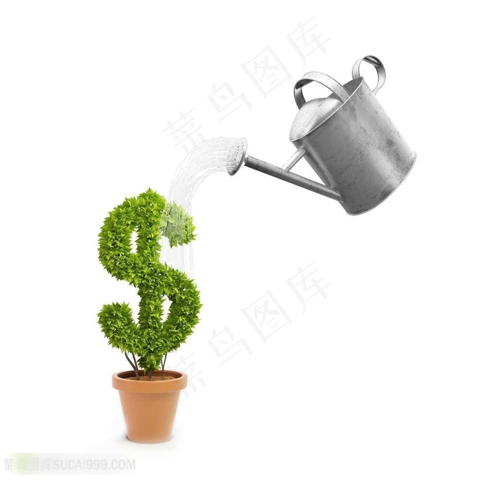 货币符号盆景素材