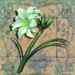 唯美兰花复古画 唯美兰花复古画