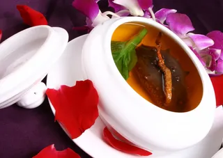 GY00099冬虫草炖辽参