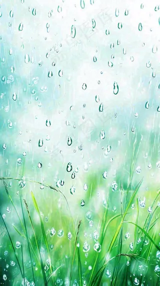 春天绿草下雨水珠，雨水，立春，春分