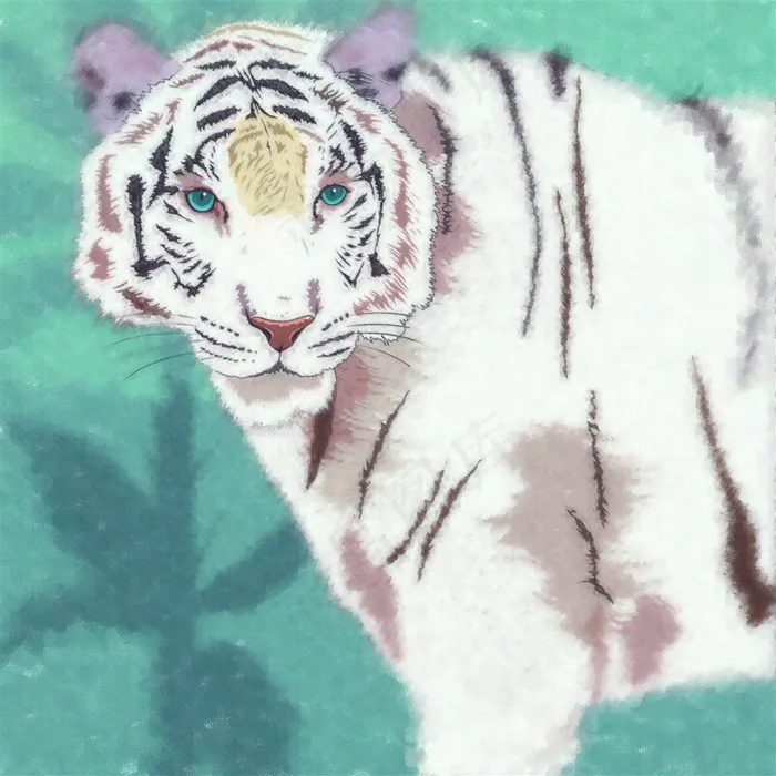 手绘的大白虎