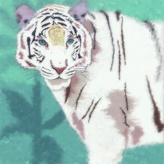 手绘的大白虎