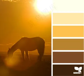 动物配色色卡色彩搭配