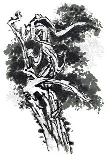 树木艺术绘画摄影图片