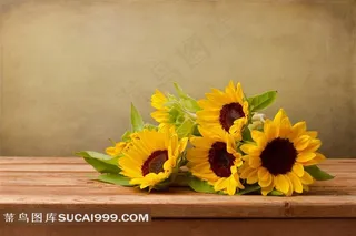 向日葵高清图片下载