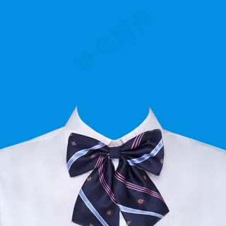 西装模板  女生西装 寸照模板 西装 证件照 西服 免抠  