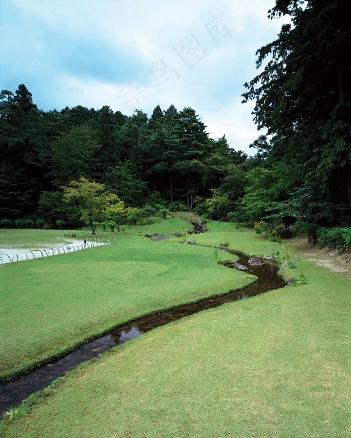 树林前草地间的溪水