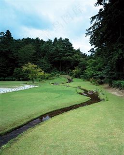 树林前草地间的溪水
