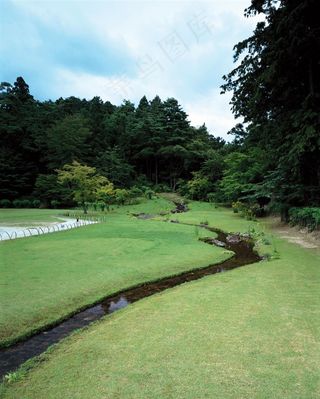 树林前草地间的溪水