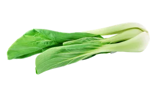 上海青 (20)超市商品白底图免抠实物摄影png格式图片透明底