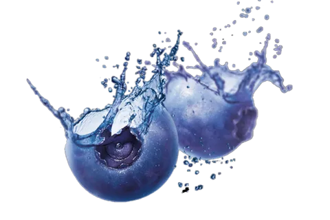 蓝莓免抠图