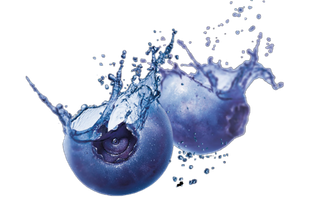 蓝莓免抠图