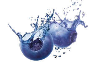 蓝莓免抠图
