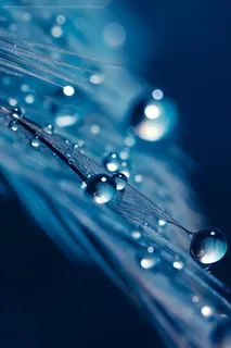 露珠蓝色清新大气背景