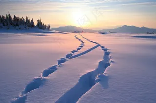 冬天雪地里走过的脚印雪景摄影图