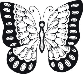 卡通动画动画蝴蝶免扣PNG手绘插画图片素材 (68)