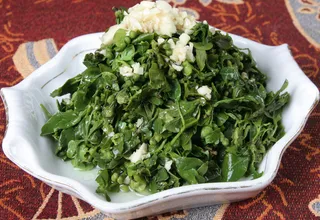 37蒜泥拌花椒芽 定州江苏