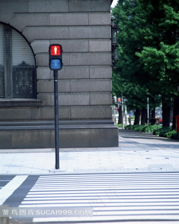 人行横道红绿灯摄影背景图片