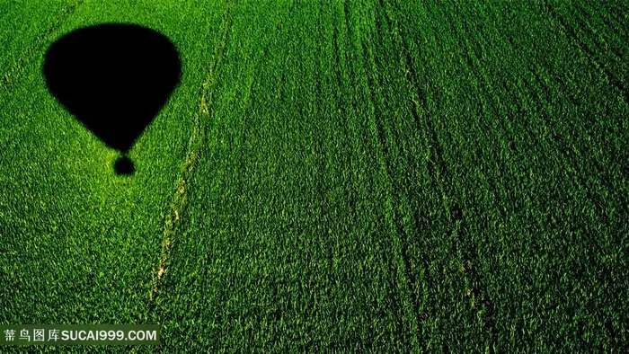 氢气球草地壁纸