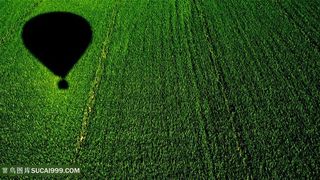 氢气球草地壁纸