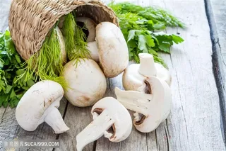 美食食材蘑菇高清图片