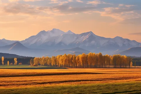 秋天高原雪山山脉黄色森林草原摄影图