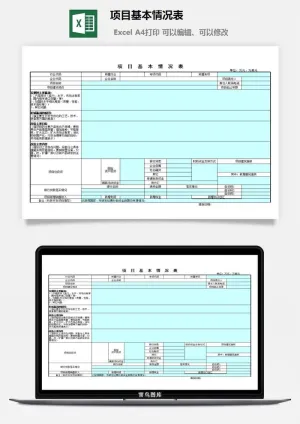 项目基本情况表excel模板