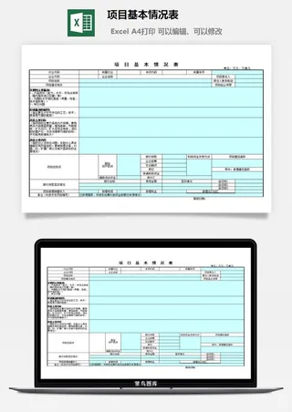 项目基本情况表excel模板