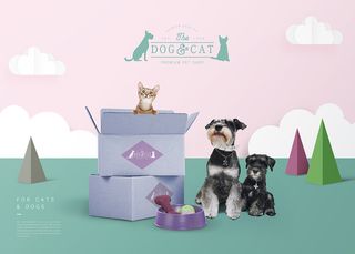 宠物用品宣传广告