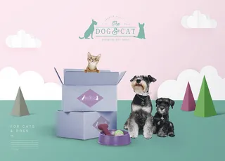 宠物用品宣传广告