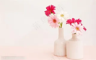 家俱饰品-两个矮的装饰花瓶里装着非洲菊