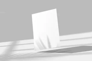 单张黑白灰简约立体光影海报样机