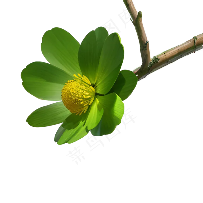 绿色手绘PNG手绘植物