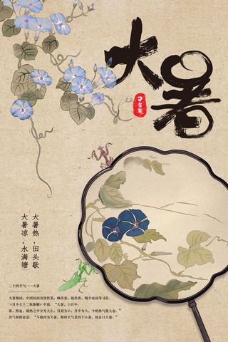 传统节气大暑海报