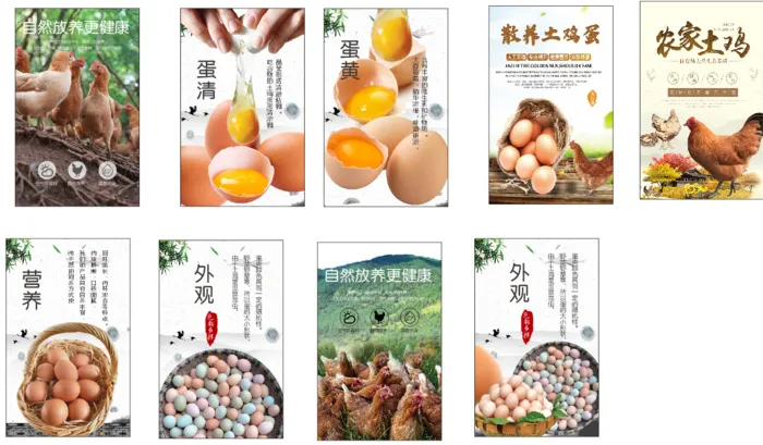 传统土鸡蛋营养外观 海报cdr矢量模版下载